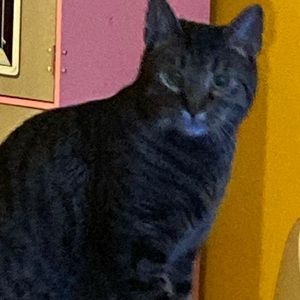 Meet your Posher, Nichole